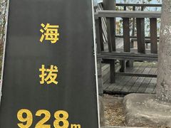 -江南天池