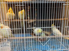 -宠爱我(南山店)