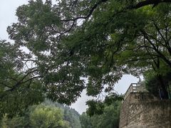 -延安杨家岭革命旧址