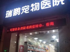 -瑞鹏宠物医院华南总院·夜诊·心脏科·骨科