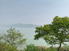 -桃花岛风景旅游区