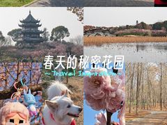 -上海海湾国家森林公园