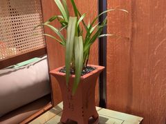 -南堂小馆·川菜馆(德商国际店)
