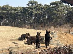 -沈阳森林动物园