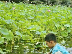-沐仙湖湿地公园