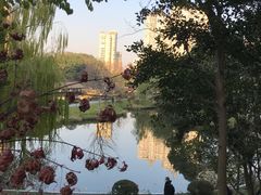 -和平公园