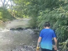 -羊山湖公园