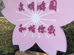 -高东镇樱花园