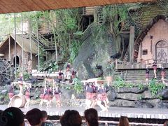 -海南槟榔谷黎苗文化旅游区