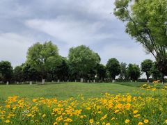 -汉长安城未央宫国家考古遗址公园