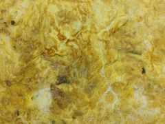 -渔码头食府(蓬莱阁店)