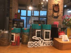 -IDOL-PLUS