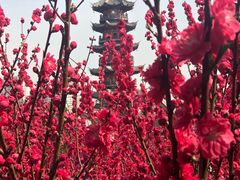 -上海市龙华烈士陵园