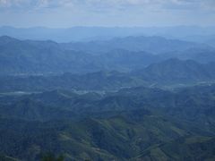 -天目山大树王景区