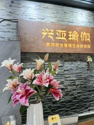 -兴亚瑜伽20年老馆