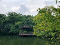 -浙江西子宾馆·瑶园咖啡厅