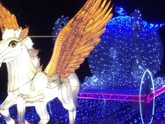 -飞凤山奥体公园