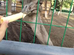 -长白岛森林公园