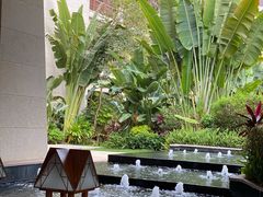 -碧桂园润杨溪谷温泉酒店