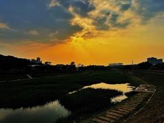 -光明小镇欢乐田园