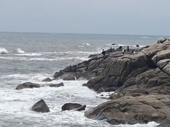 -青岛银沙滩
