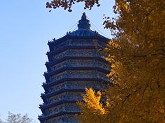 -玲珑塔公园