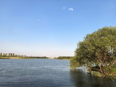 -贡湖湾湿地公园