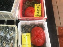 -鸿达渔港