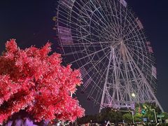 -南昌之星摩天轮