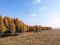 -塞罕坝国家级自然保护区