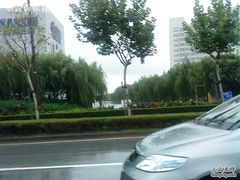 -上海第二工业大学(金海路校区)