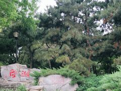-玲珑塔公园