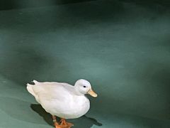 -苏州海洋馆