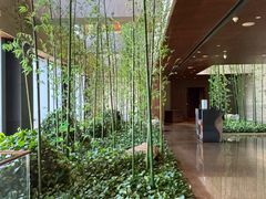 -广州富力君悦大酒店空中花园