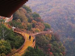 -少华山国家森林公园