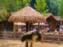 -北京野生动物园