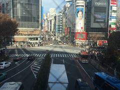 -涩谷区