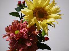 -兰特伯爵西餐厅·啤酒屋(方庄店)