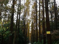 -上海怡沁园度假酒店