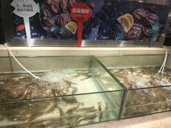 水产区-芭菲盛宴·环球美食(袁家岗店)
