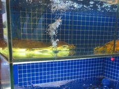 -王家大院·南京菜(湛江路总店)