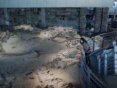 -自贡恐龙博物馆