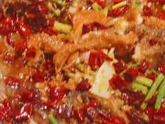 -老板恋上鱼(印象城店)