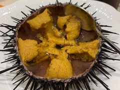 黑海胆-万宝海鲜舫(劳动公园店)