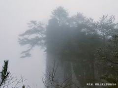 -恩施大峡谷
