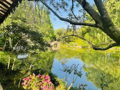 -上海醉白池公园