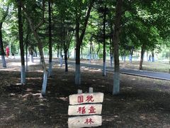 -黛秀湖公园