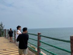 -广东惠东海龟国家级自然保护区