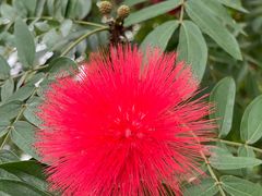 -北京植物园-展览温室