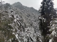 -九峰山